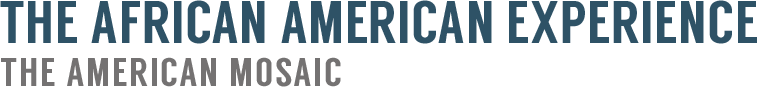ABC-CLIO Solutions - The American Mosaic: The African American Experience